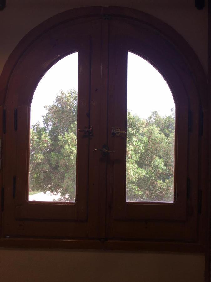 Dahab Home Bed&Breakfast Bagian luar foto